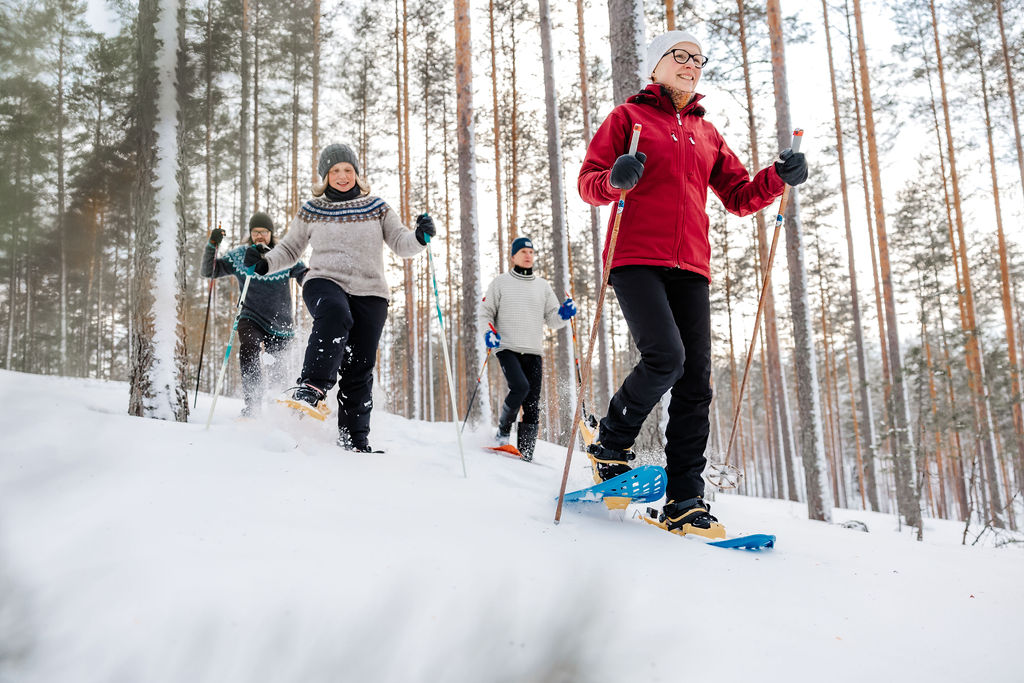 Snowshoes 12 € / day